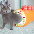 Load image into Gallery viewer, Gray cat partially stepping out from the colorful fruit patterned opening of the cake roll cat tunnel
