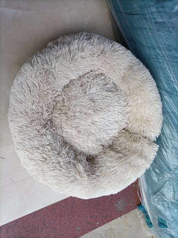 Beige plush round pet bed placed on floor with surrounding elements