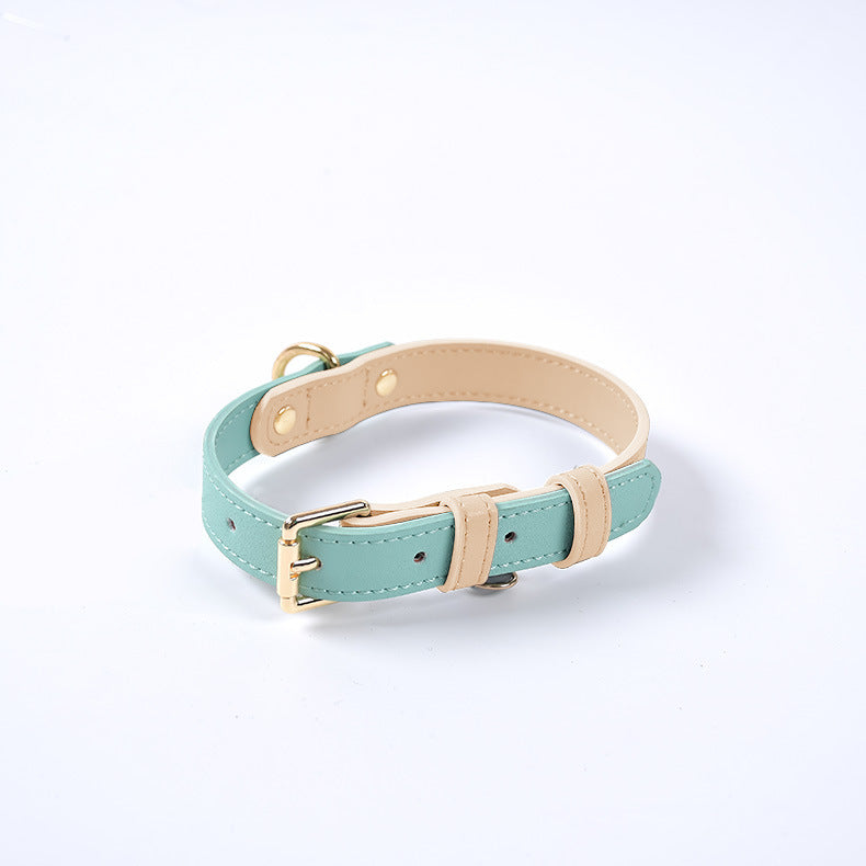 Mint green and beige adjustable leather dog collar with gold buckle and D-ring