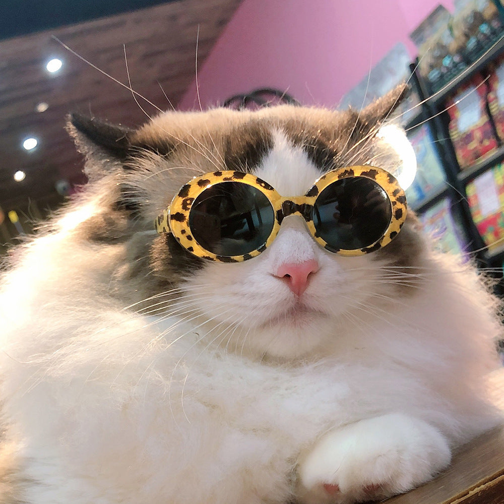 Retro frame pet sunglasses