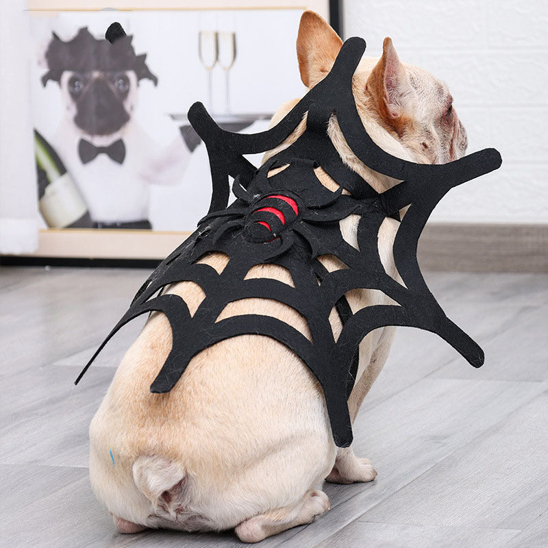 Small beige dog wearing a black felt Halloween spider web costume with red-striped spider on back, sitting indoors