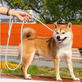 Load image into Gallery viewer, Dog Rope Pet Pulling Rope Puppy Strap Traction Rope Heavy Duty Belt Large Dog Leash Dog Collar Strap Dog Training Pet Harness Hands-Free Leash For Small Dogs Multicolor Pet Supplies
