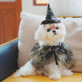 Load image into Gallery viewer, Halloween Dog Holiday Supplies Pet Spider Hat Cat Bib Shawl
