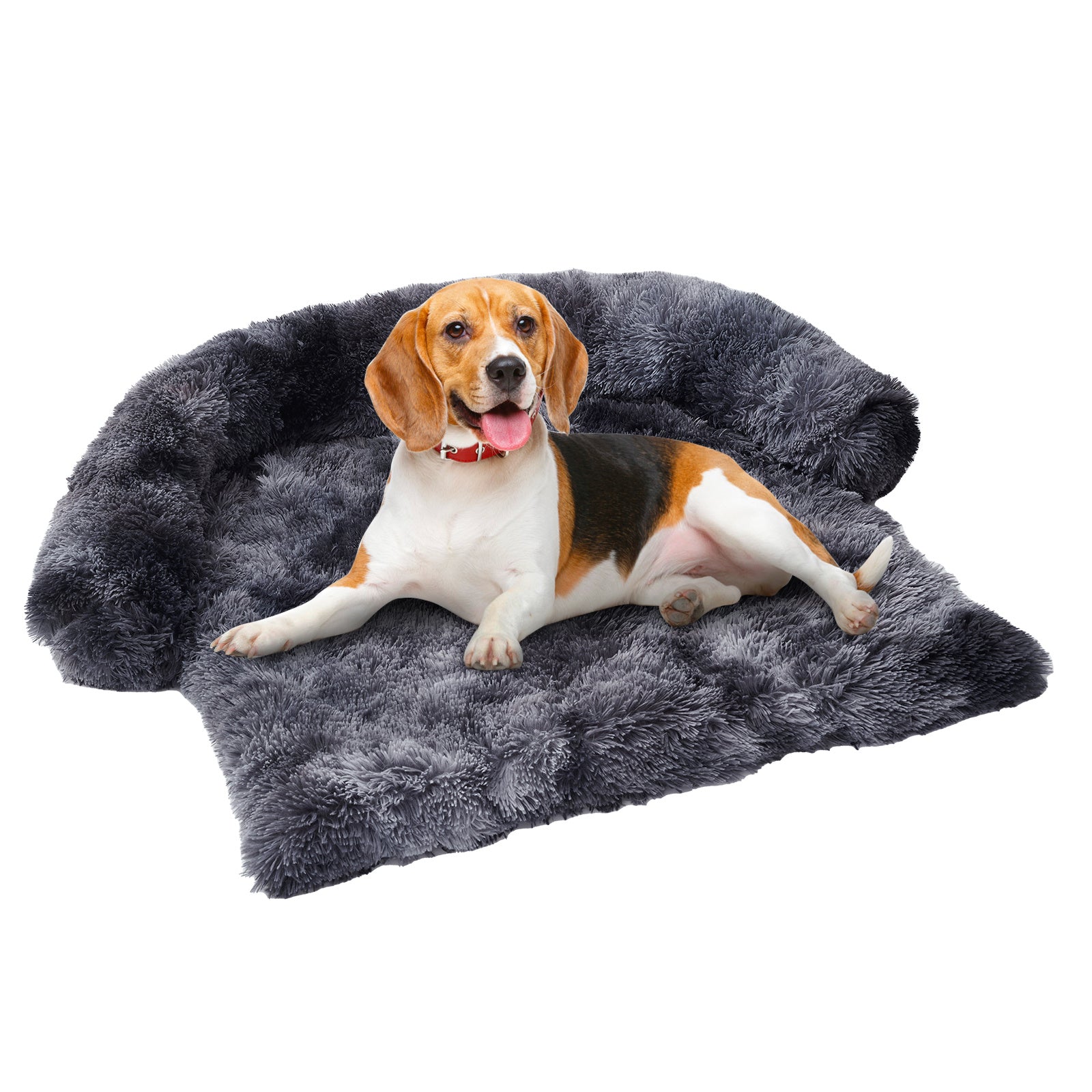 Beagle dog comfortably resting on dark gray extended plush pet mat nest isolated on white background