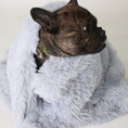 Cargar la imagen en la vista de la galería, Brindle dog wrapped in light gray plush pet blanket
