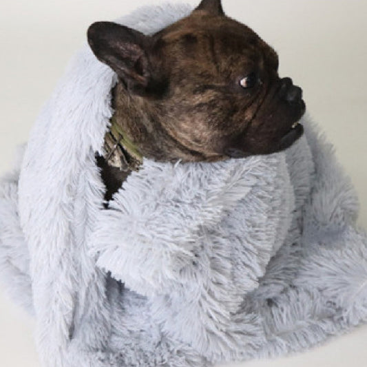 Brindle dog wrapped in light gray plush pet blanket