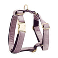 Charger l'image dans la visionneuse de la galerie, Pet Collar Dog Fabric Velvet
