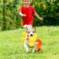 Cargar la imagen en la vista de la galería, Small dog running outdoors with an orange and yellow plush chicken toy in its mouth
