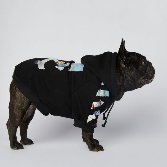 Side profile of French bulldog wearing black dog hoodie with oil painting style graphics on sleeves and back