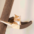 Load image into Gallery viewer, Solid Wood Large Cat Climbing Frame Cat Litter Cat Tree One Cat Shelf
