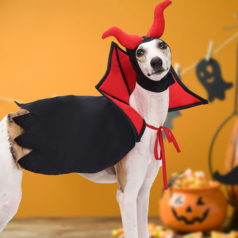 White dog dressed in a black and red vampire cape and hood with red horns posing in front of a Halloween themed background