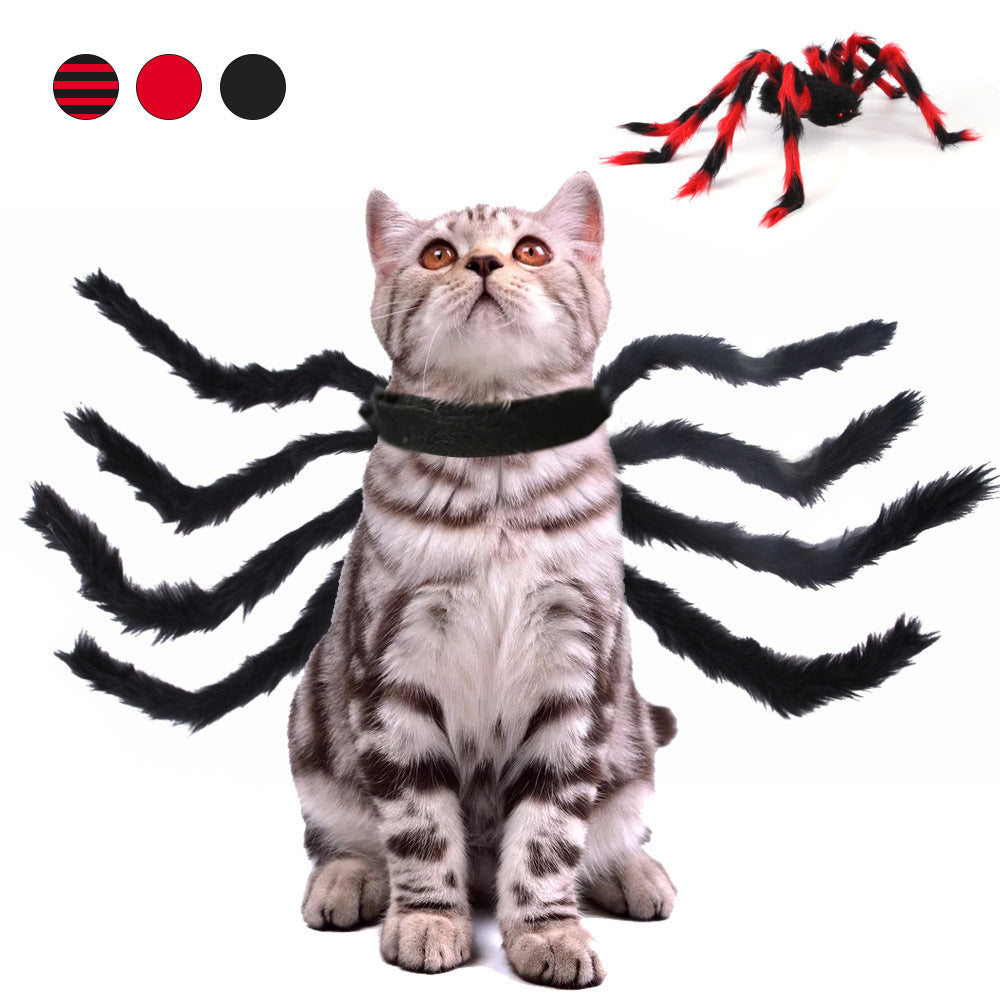 Gray tabby cat wearing black spider pet costume harness with soft, plush articulated legs