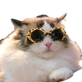 Load image into Gallery viewer, Pet Dog Cat Multi-color Sunglasses Cool Handsome Accessories
