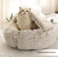 Charger l'image dans la visionneuse de la galerie, Cat sitting inside beige crystal velvet dome pet bed looking upwards
