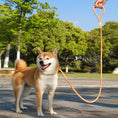 Load image into Gallery viewer, Dog Rope Pet Pulling Rope Puppy Strap Traction Rope Heavy Duty Belt Large Dog Leash Dog Collar Strap Dog Training Pet Harness Hands-Free Leash For Small Dogs Multicolor Pet Supplies
