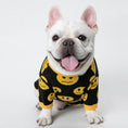 Charger l'image dans la visionneuse de la galerie, White French Bulldog wearing black and yellow smiley face wool sweater sitting and looking at camera
