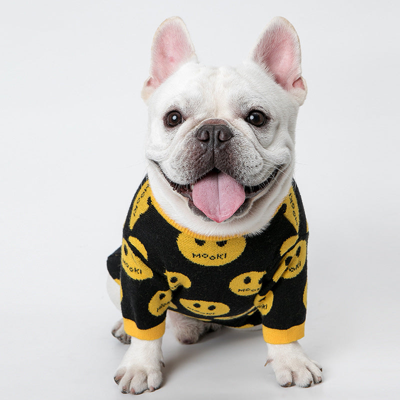 White French Bulldog wearing black and yellow smiley face wool sweater sitting and looking at camera