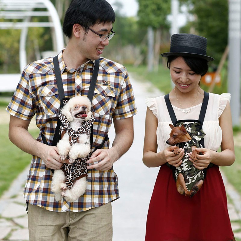 Small dog wearing leopard-print chest carrier held by man