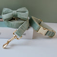 Load image into Gallery viewer, Mint green velvet dog collar with matching bow and gold metal clasp lying on white surface
