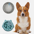 Load image into Gallery viewer, Illustration of a dog next to a clock showing slowed feeding time due to the feeder bowl
