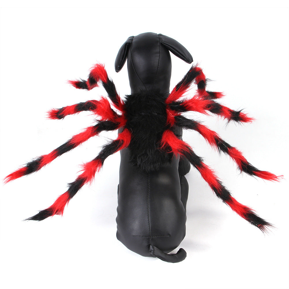 Gray kitten wearing black and red spider pet costume harness sitting on white background