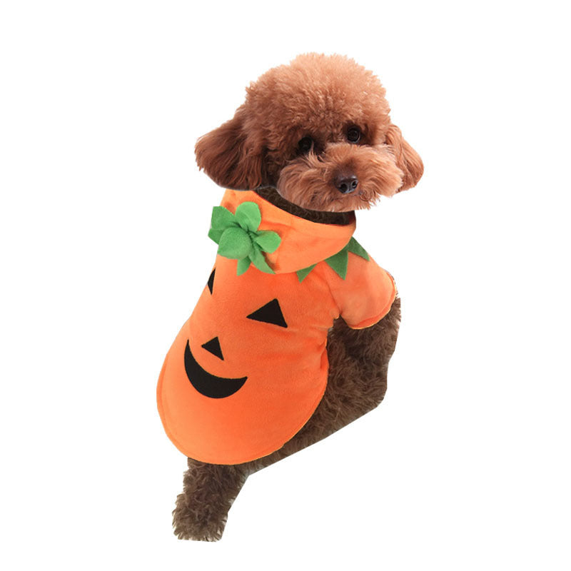 Side view of small dog wearing the orange pumpkin hoodie costume with green leaf accents around the neck and hood