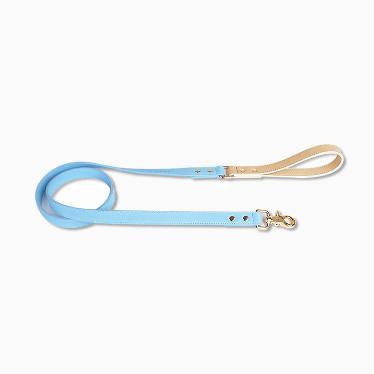 Pastel Leather Dog Collar & Leash Set