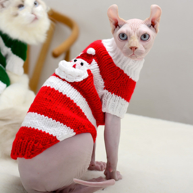 Hairless cat in red and white Christmas striped wool sweater with Santa applique