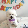 Charger l'image dans la visionneuse de la galerie, Party Birthday Hat Bib Dog Cat Pet Saliva Pocket Saliva Towel Bichon Frise
