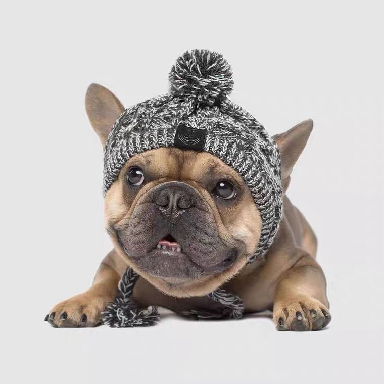 Wool Ball Thermal And Windproof Puffy Ball Knitted Dog Hat