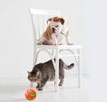 Load image into Gallery viewer, Tabby cat and bulldog puppy near an orange intelligent cat ball on white floor with white chair in background
