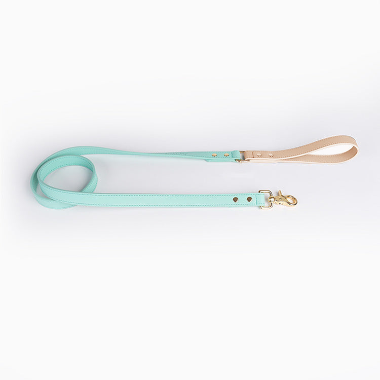 Pastel Leather Dog Collar & Leash Set