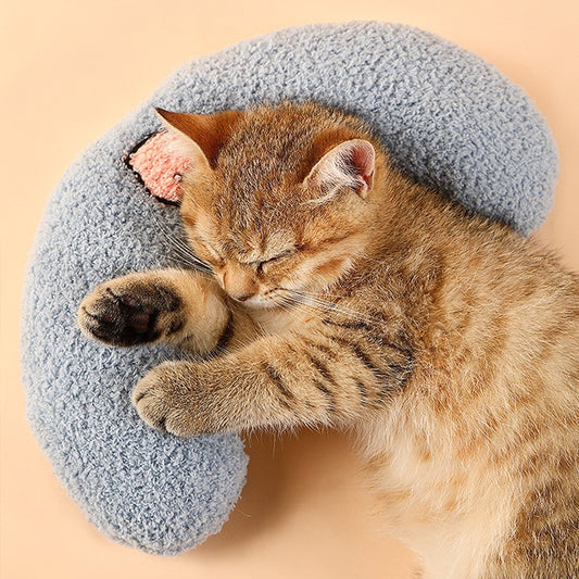 Kitten sleeping comfortably on blue crescent-shaped plush pet pillow