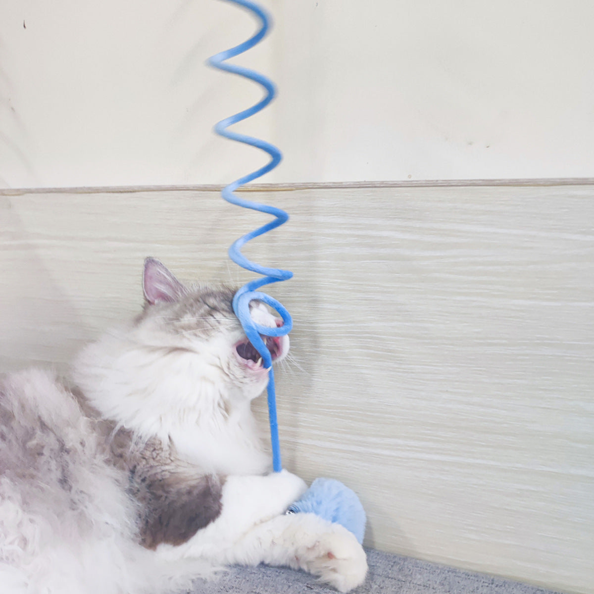 Brown tabby kitten playing with pink spring rabbit hair ball toy