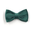 Load image into Gallery viewer, Green velvet velvet bowtie for dog accessory set
