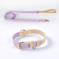 Cargar la imagen en la vista de la galería, Pastel Leather Dog Collar & Leash Set
