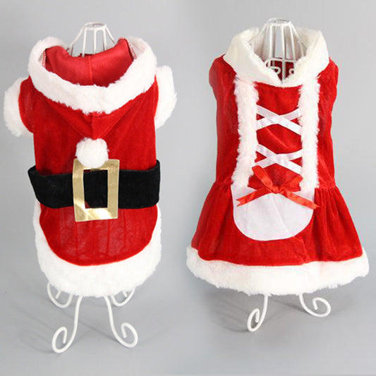 Vêtements de Noël pour chien