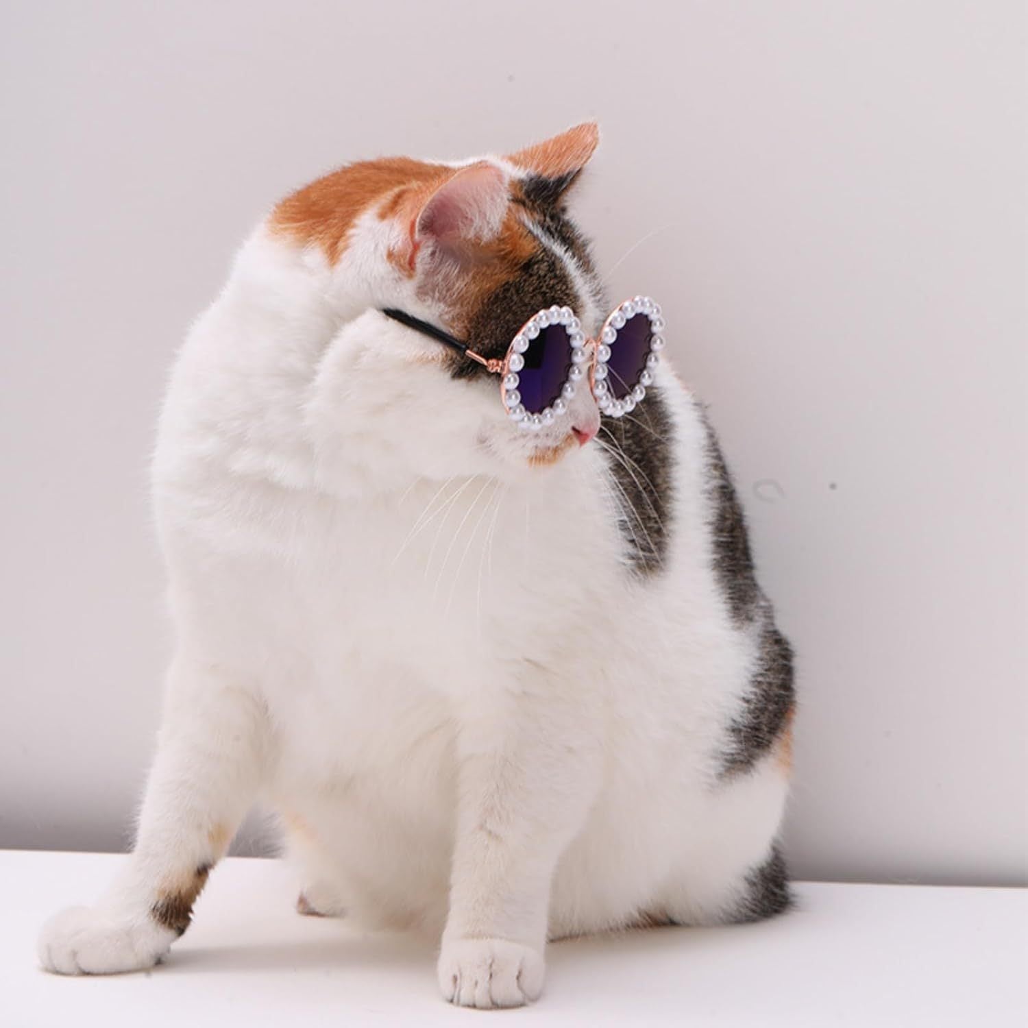 Cat And Dog Pearl Party Sunglasses