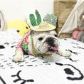 Charger l'image dans la visionneuse de la galerie, Pink pineapple pet cat dog clothes

