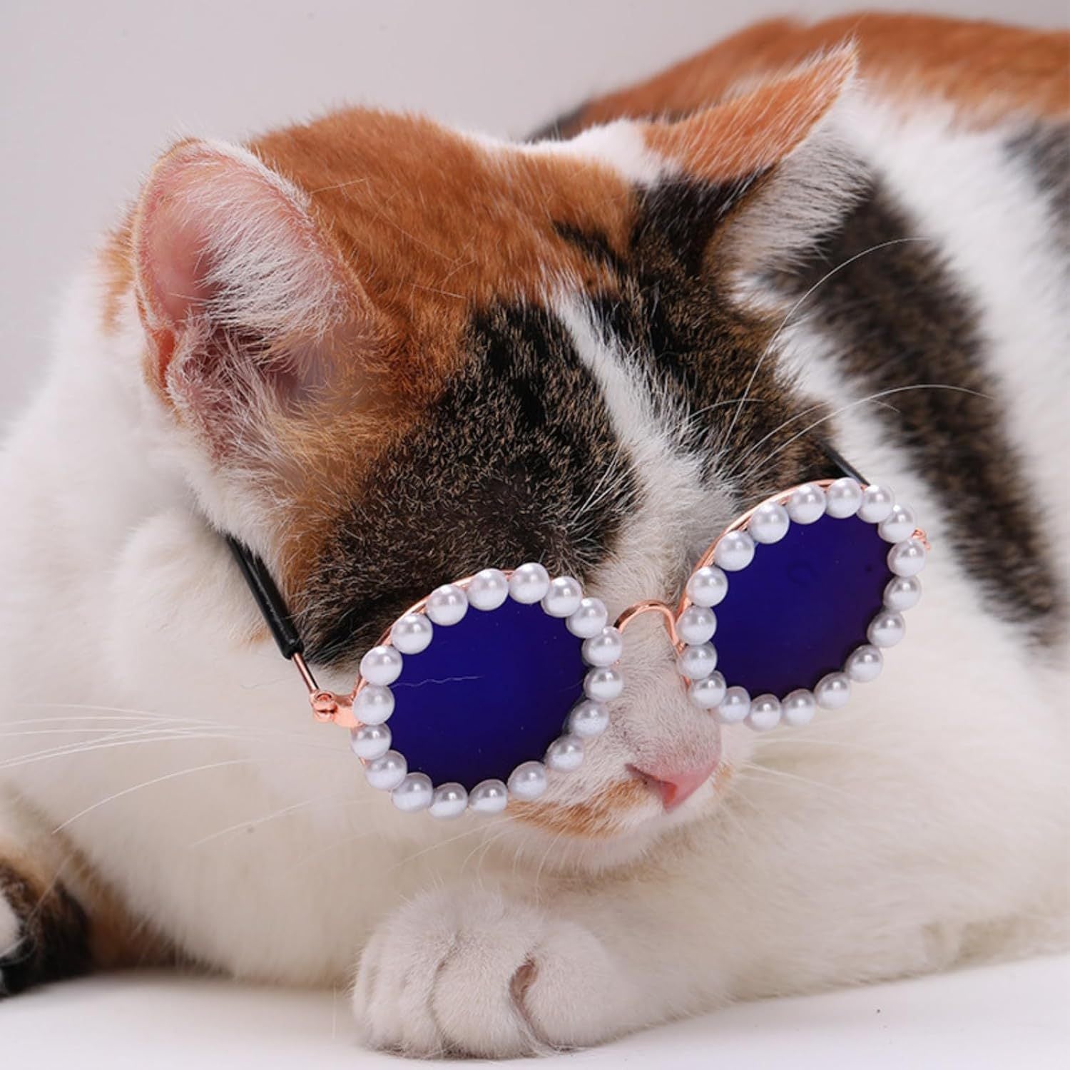 Cat And Dog Pearl Party Sunglasses