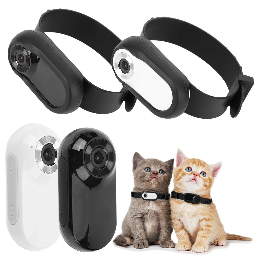 Two pet collars with attached black and white cameras shown with two cats wearing camera collars