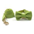 Load image into Gallery viewer, Matcha green velvet dog collar with gold buckle and matching leash rolled beside it
