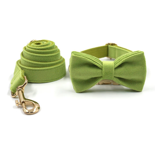 Matcha green velvet dog collar with gold buckle and matching leash rolled beside it