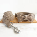 Load image into Gallery viewer, Teddy dog pen pet leash set

