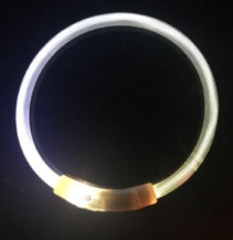Rechargeable LED Light-Up Dog Collar