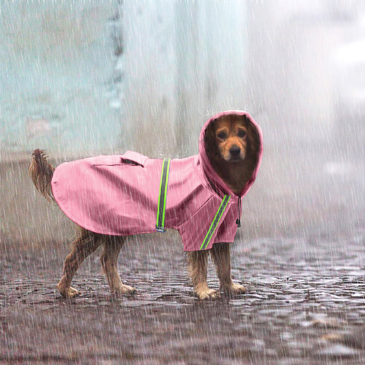 Dog standing in heavy rain wearing a pink waterproof reflective raincoat with hood