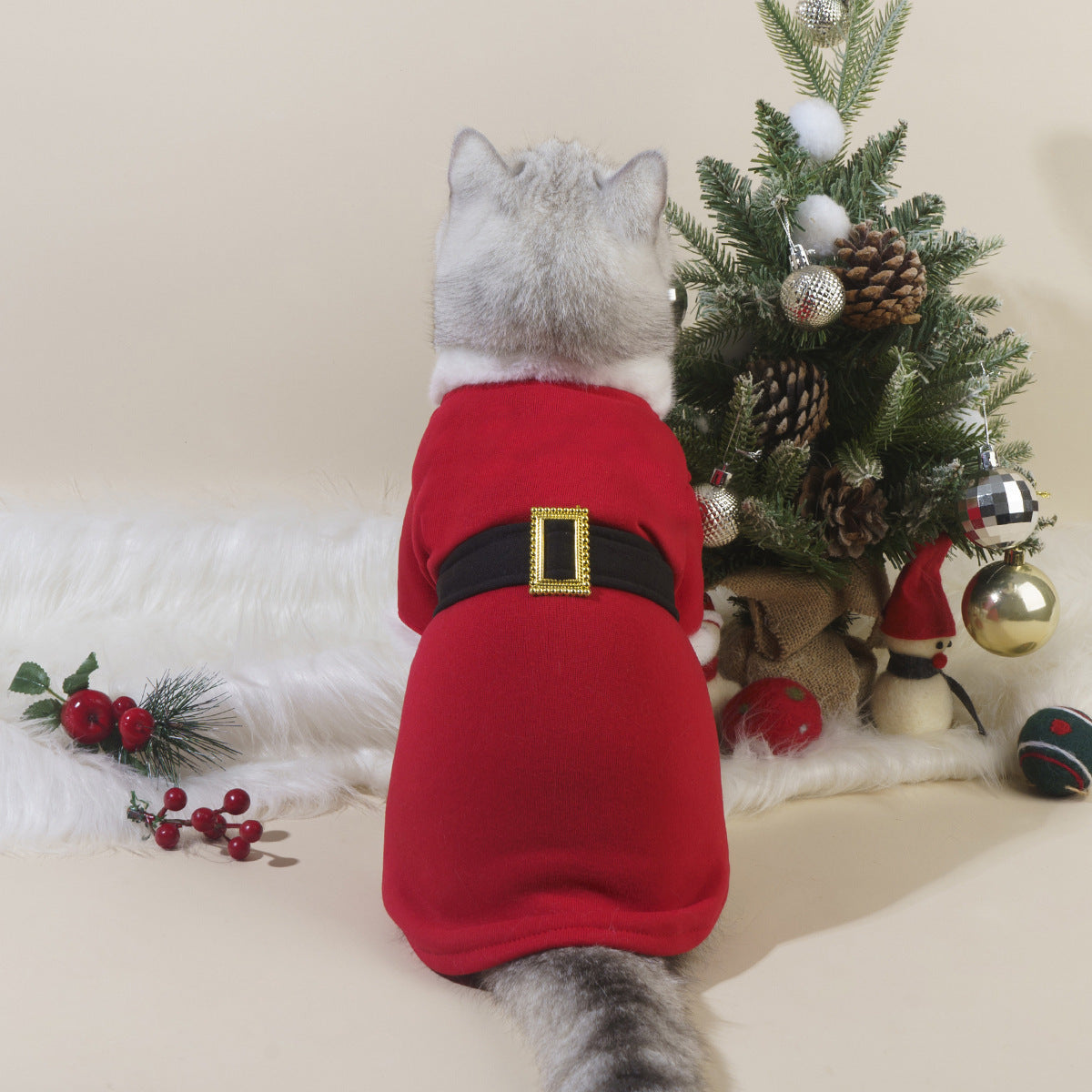 Santa Pet Outfit