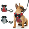 Load image into Gallery viewer, Dog leash
