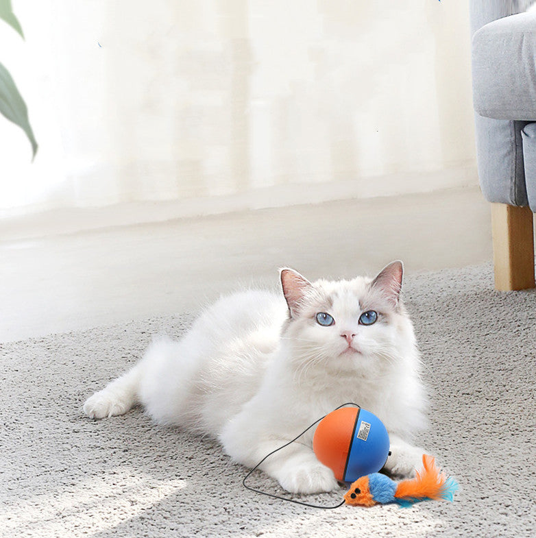 White cat lying on carpet with orange and blue interactive ball toy attached to a feather mouse