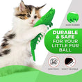 Load image into Gallery viewer, Fluffy calico kitten holding green hard rubber catnip toy, highlighting durability, non-toxic safety, and texture
